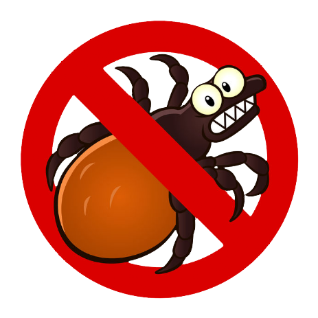 polsterfix milben entfernen