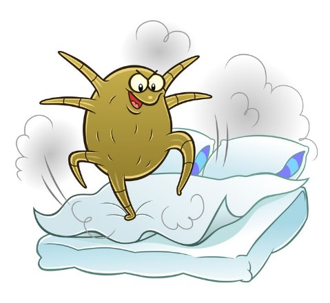 polsterfix matratzen milbenstop